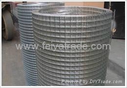 Electric Welding Mesh  Welded Wire Mesh