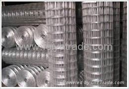 Electric Welding Mesh  Welded Wire Mesh 2