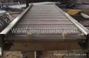 Chain-type conveyor belt  4