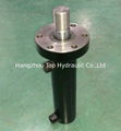 hydraulic cylinder