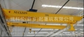 NLH model double girder overhead crane 1