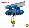 Explosion Proof Type Hoist With Dust -Resistant Feature 2