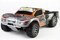 1:18 2.4G High Speed Electric RC Truck (
