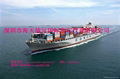 sea freight DDP/DDU  to USA from china