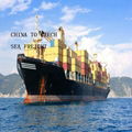 Best sea freight from china to Czech