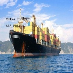 Best sea freight from china to Czech  