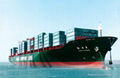 logistics agent service sea freight to