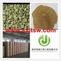 green coffee bean extract chlorogenic