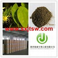  Epimedium Extract icariine 5%-98% 1