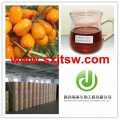  100% natural seabuckthorn oil