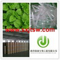  Mint extract menthol crystal 99% 10:1 1