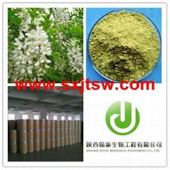 sophora japonica extract Quercetin Rutin