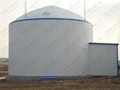 Amoco Biogas Storage System for Waste Treatment  1