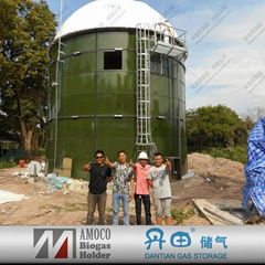 2015 medium and large size anaerobic digester tanks for biogas plant in Thailand