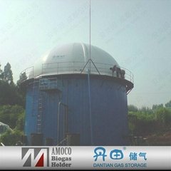 China high technology anerobic digester for biogas plants in Shanxi projects 