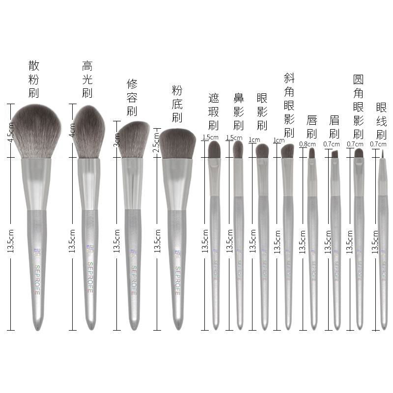 12 silver moonlight makeup brush sets 2