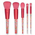 5 Candy Crystal Powder brushes 2