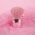 Mushroom head blush brush 1