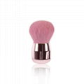 Mushroom head blush brush 5