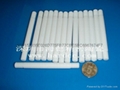 Insulating Ceramics 4