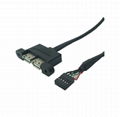 Motherboard Internal 9Pin to double 2 USB 2.0 A Female Panel Mount DATA Cable