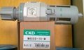 CKD過濾減壓閥W4000-15-W