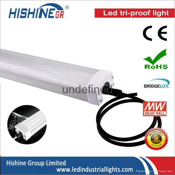 LED Tri-proof light 20w-120w