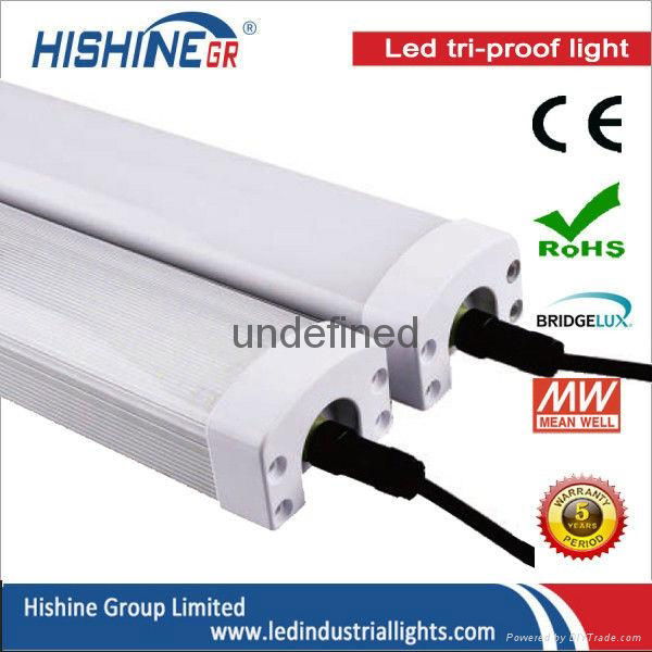 LED Tri-proof light 20w-120w 3