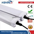 LED Tri-proof light 20w-120w 3