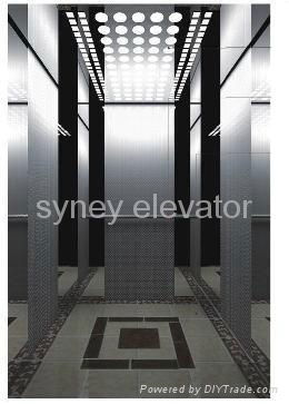  Passenger Elevator with Mirror Etching Finish for House (LL-010)