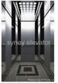  Passenger Elevator with Mirror Etching Finish for House (LL-010)