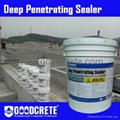 Deep Penetrating Sealer