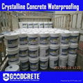 Liquid Crystalline Concrete