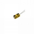 NP Aluminum Electrolytic Capacitors  1