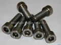 ASTM B760-N4-Nickel Screw