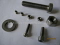 ASTM B760-N4-Nickel Screw