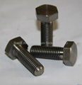 ASTM/DIN-Titanium Screws-M2 to M22