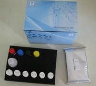 Anti-pseudorabies virus ge protein antibody ELISA kit 