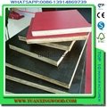 best price china 18mm brown film faced plywood for construction