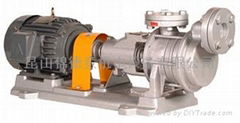 SG Side Channel Pump	 