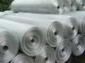 Stainless Steel Welded Mesh 2