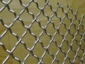 Stainless Steel Crimped Mesh