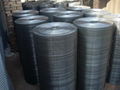 Stainless Steel Wire Mesh 