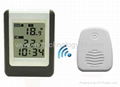 Wireless Thermometer Clock 1