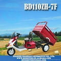 SCOOTE TRICYCLE BD110ZH-7F handicapped disabled scooter Triciclo Motocar motocar