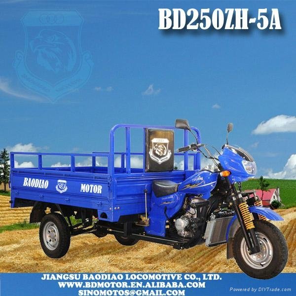 Triciclo BD250ZH-5A cargo tricycle Motocar motocarro mototaxi Triporteur trimoto