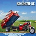 THREE WHEEL MOTORCYCLE BD300ZH-5C 2013 hydraulic auto damping Triciclo motocarro