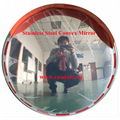 Stainless Steel Convex Mirror