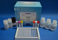 大腸桿菌檢測試劑盒