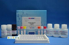 呋喃唑酮检测试剂盒
